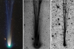 20211221_comparison_inverted_gasparri