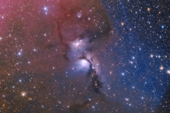 M78_20211031-1102_42X600_harder_brighter_web