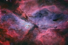 carena_mosaic_202102_6nights_C9