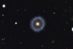hoag