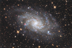 m33_web1_hlvg_denoised_stars_libro