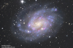 ngc300-