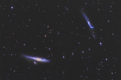 ngc4631_20210429newton130