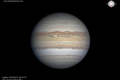 2019-04-12-0614-gasparri