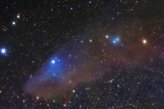 blue_horsehead