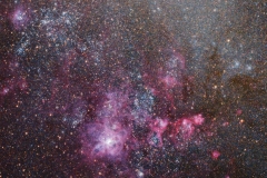 tar_46x120_pano_january2019