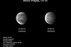 venus_best_gasparri